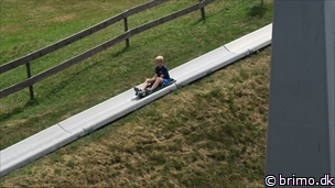 Miniature af billede nummer 10264