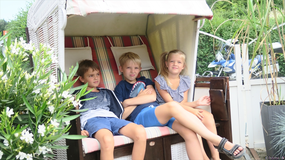 Billede nummer 10267