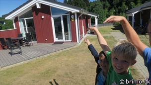 Miniature af billede nummer 10269