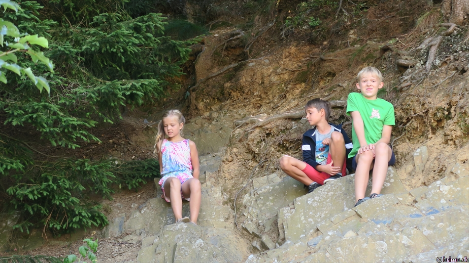 Billede nummer 10270