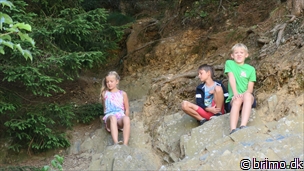 Miniature af billede nummer 10270