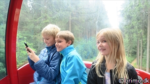 Miniature af billede nummer 10273