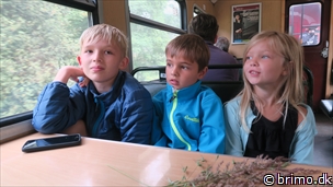 Miniature af billede nummer 10275