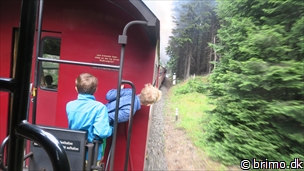 Miniature af billede nummer 10276