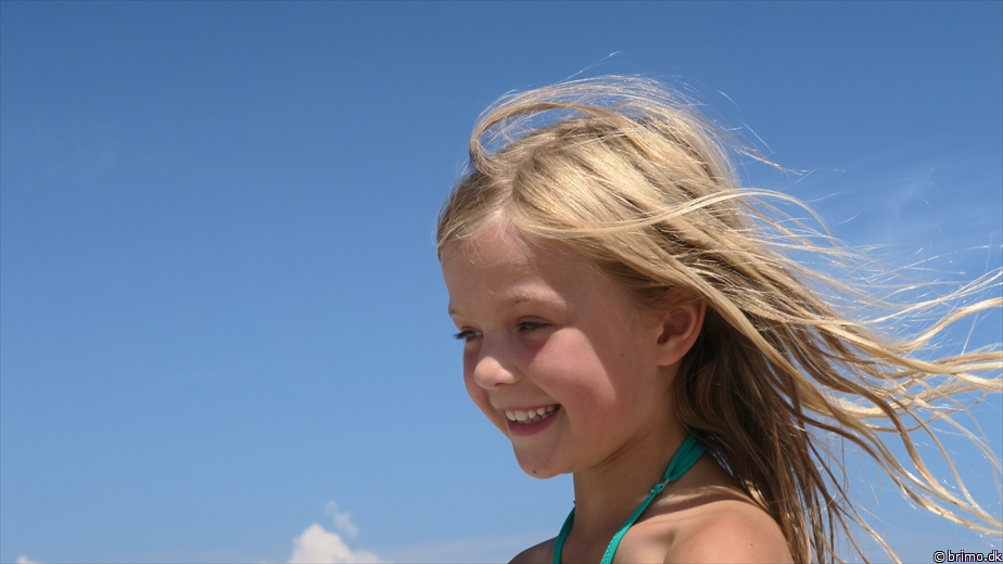 Billede nummer 10279