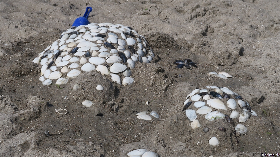 Billede nummer 10280