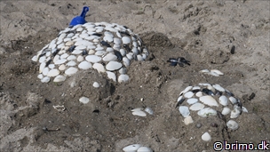 Miniature af billede nummer 10280