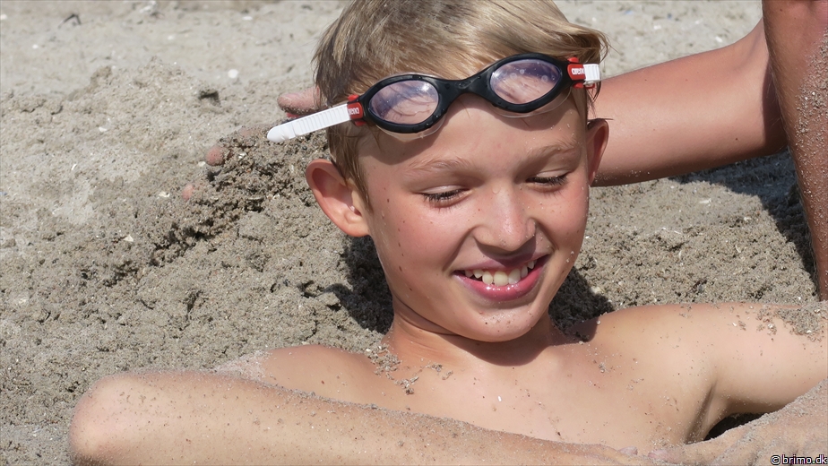 Billede nummer 10282