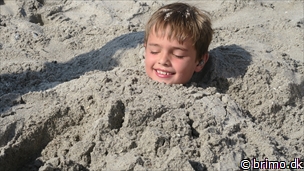 Miniature af billede nummer 10284