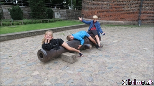 Miniature af billede nummer 10289