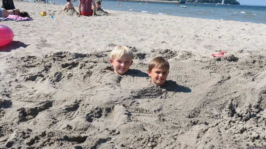 Billede nummer 10292