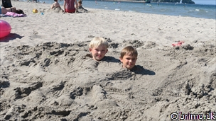 Miniature af billede nummer 10292