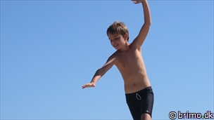 Miniature af billede nummer 10294