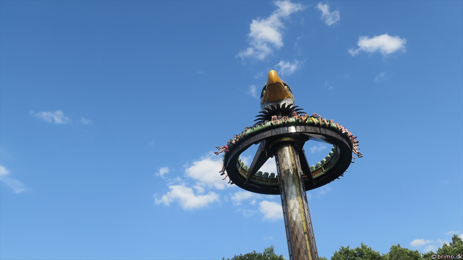 Billede nummer 10304