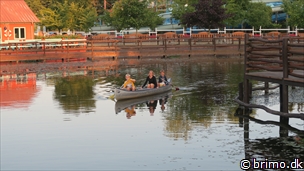 Miniature af billede nummer 10307