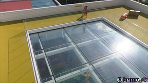 Miniature af billede nummer 10313