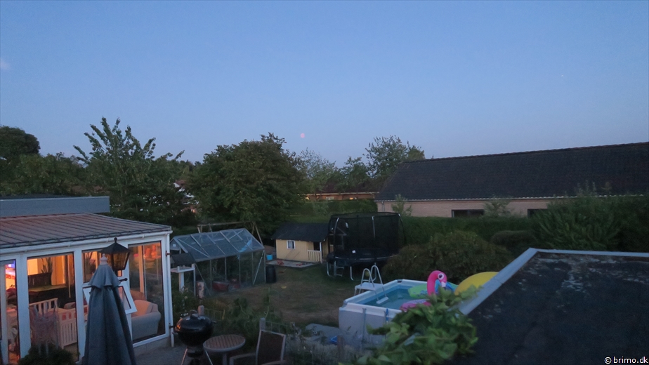 Billede nummer 10314