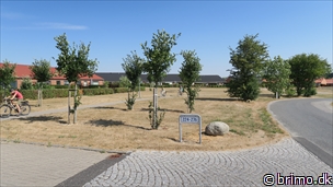 Miniature af billede nummer 10315