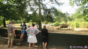 Miniature af billede nummer 10317