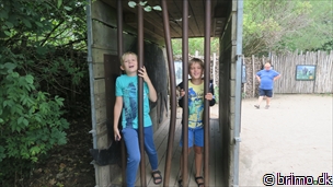 Miniature af billede nummer 10321