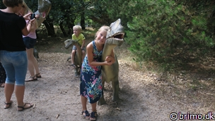 Miniature af billede nummer 10324