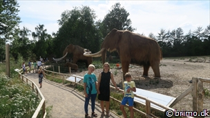 Miniature af billede nummer 10328