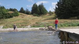 Miniature af billede nummer 10334