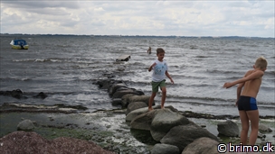 Miniature af billede nummer 10335