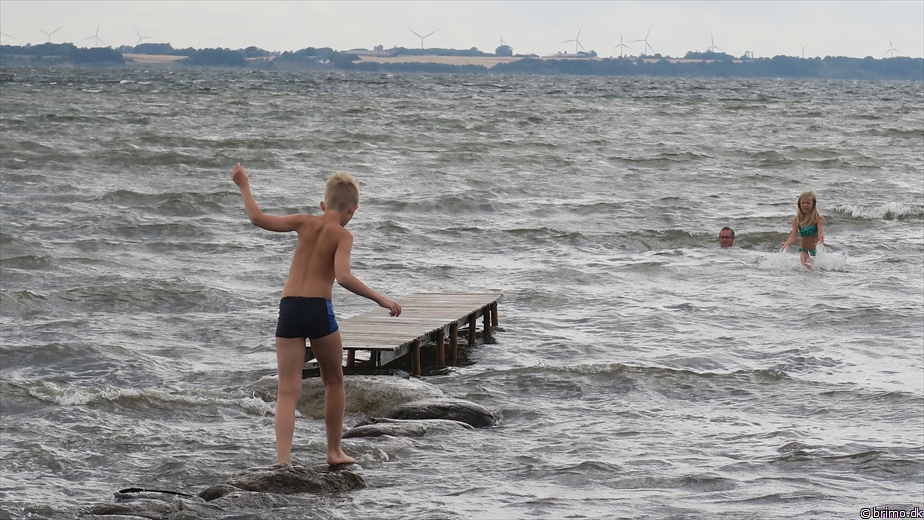 Billede nummer 10336