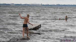 Miniature af billede nummer 10336