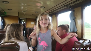 Miniature af billede nummer 10343