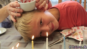 Miniature af billede nummer 10354