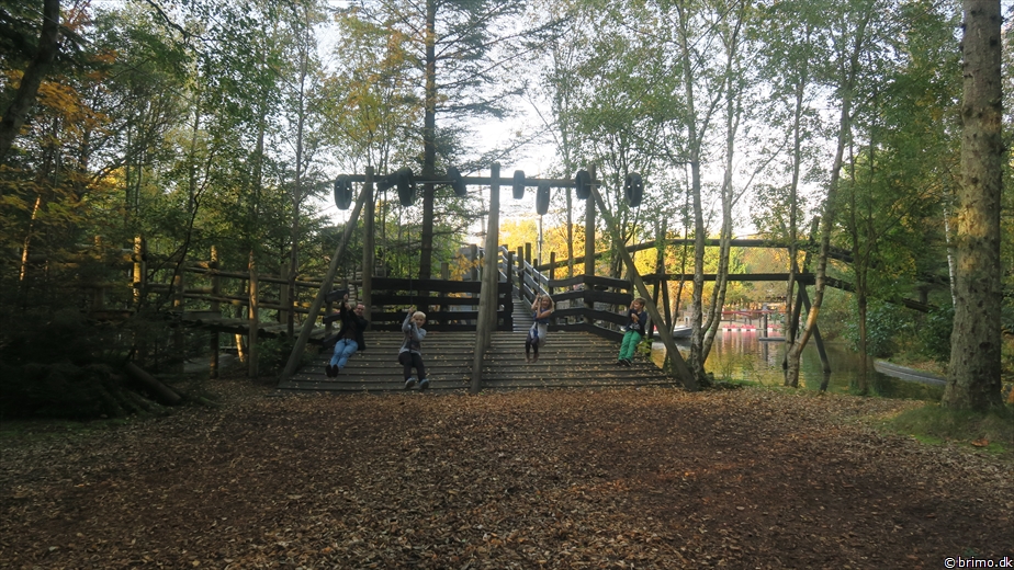 Billede nummer 10362