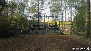 Miniature af billede nummer 10362