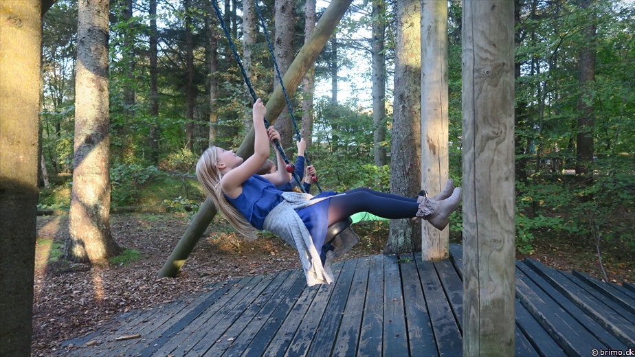 Billede nummer 10363