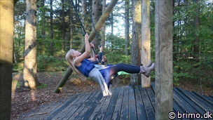 Miniature af billede nummer 10363