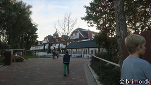 Miniature af billede nummer 10364