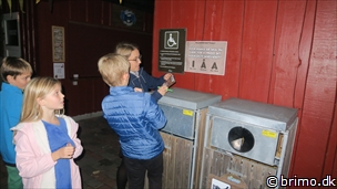 Miniature af billede nummer 10366