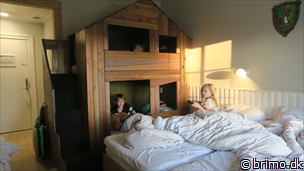 Miniature af billede nummer 10368