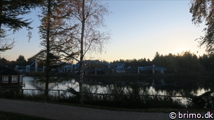 Miniature af billede nummer 10369