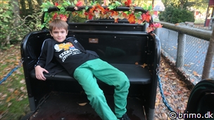 Miniature af billede nummer 10371