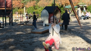 Miniature af billede nummer 10372