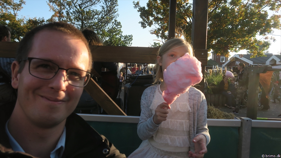 Billede nummer 10376