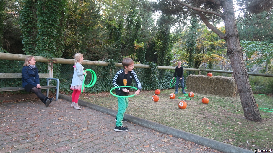 Billede nummer 10378