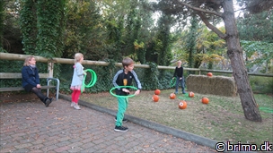 Miniature af billede nummer 10378