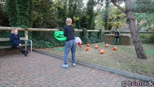 Miniature af billede nummer 10379