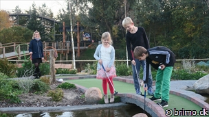 Miniature af billede nummer 10381