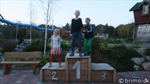 Miniature af billede nummer 10382