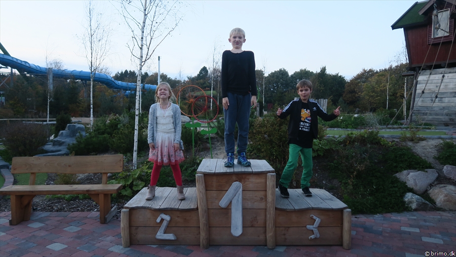 Billede nummer 10383