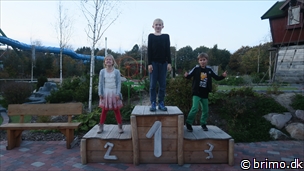 Miniature af billede nummer 10383